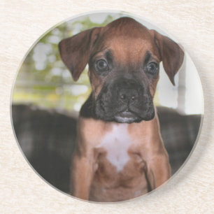 Boxer baby coaster