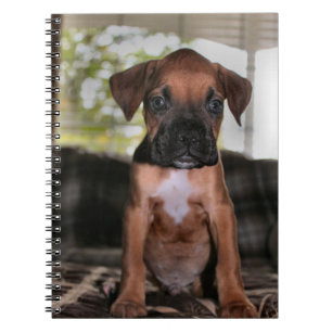 Boxer baby notebook