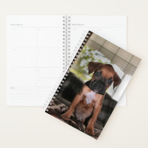 Boxer baby planner