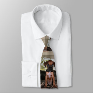 Boxer Baby Tie