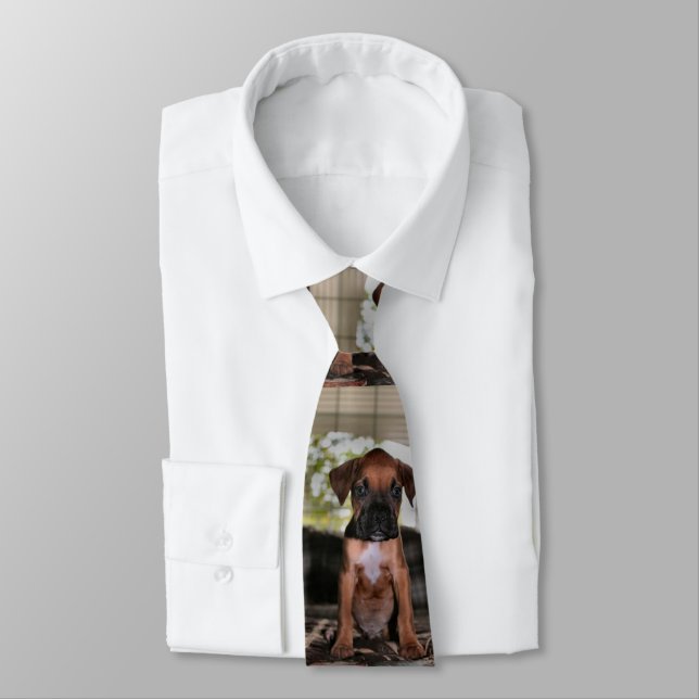 Boxer Baby Tie (Tied)