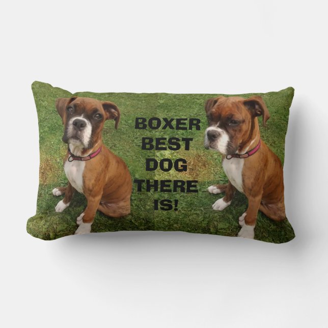 BOXER BEST DOG THERE IS  pillow (Front)