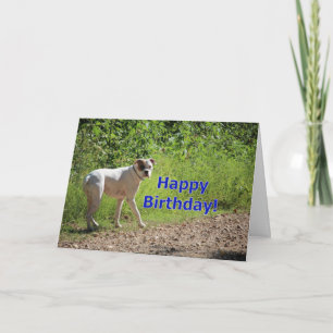 Boxer birthday card