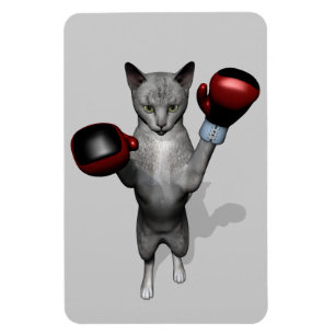 Boxer Cat Magnet