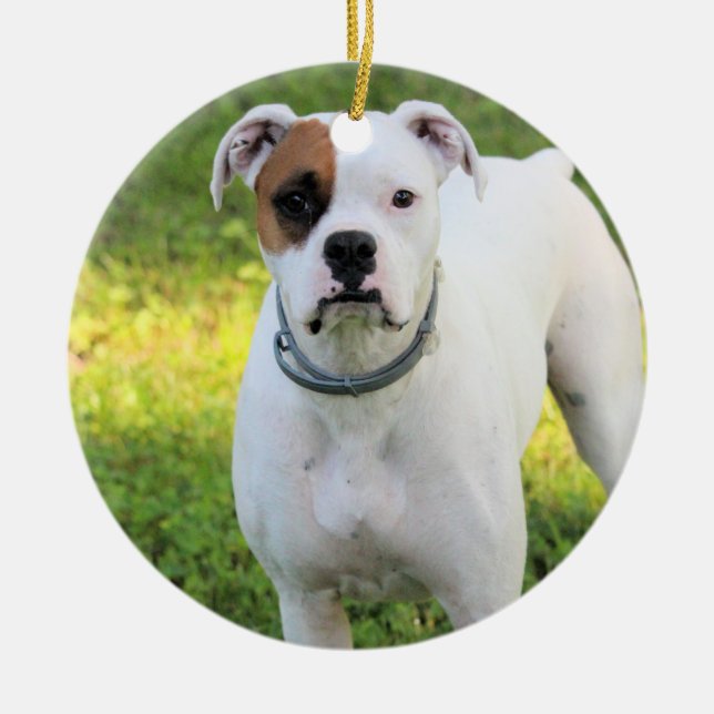 Boxer Ceramic Ornament (Front)