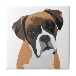 Boxer Ceramic Tile