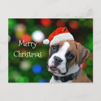 Boxer Christmas Holiday Postcard
