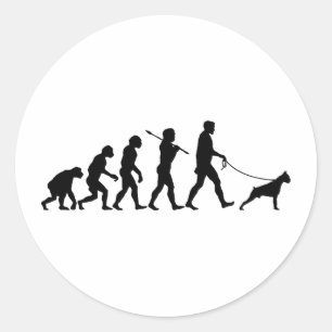 Boxer Classic Round Sticker