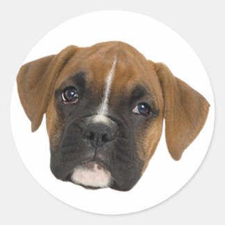 Boxer Classic Round Sticker