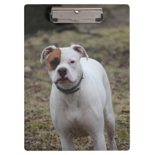 Boxer clipboard