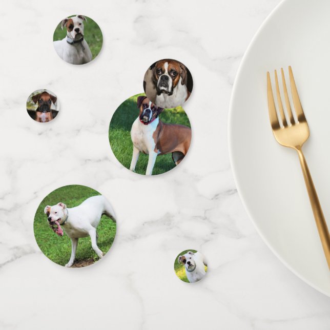 Boxer Confetti (Group)