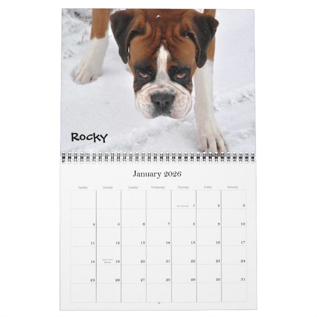 Boxer Crazy Calendar 2012 (Jan 2026)