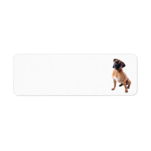 Boxer Dog 2 Return Address Label