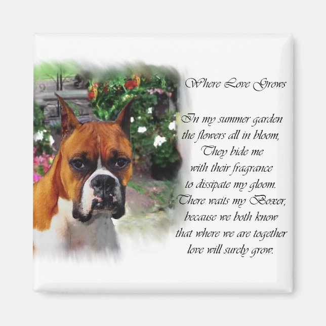 Boxer Dog Art Gifts Magnet (Front)