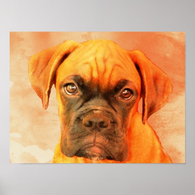 Boxer Dog art poster (Front)