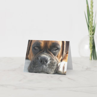 Boxer Dog Blank Notecard