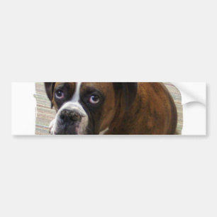 Boxer Dog Bumper Sticker