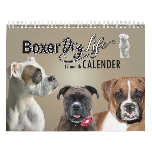 Boxer Dog Calendar, 12 Months of a Boxer Dogs Life Calendar (Cover)