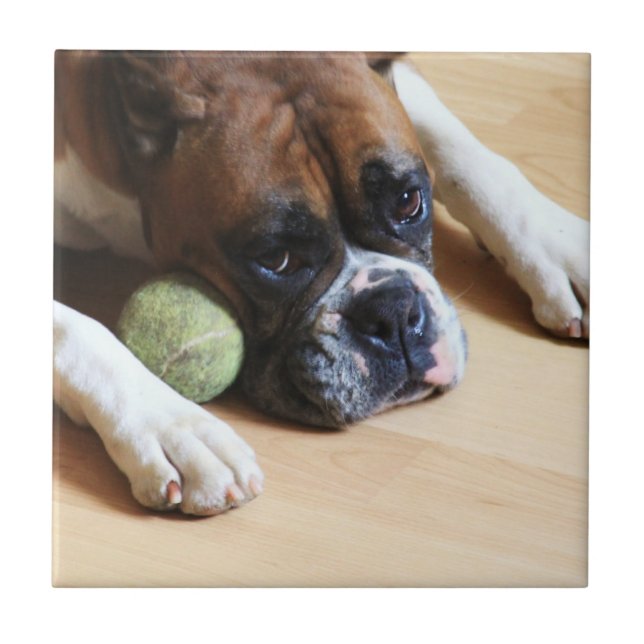 boxer dog Ceramic Tile (Front)