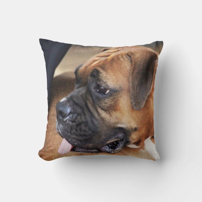 Boxer Dog Cushion (Front)