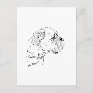 Boxer Dog – Dog Lover Minimalist Illustration Postcard
