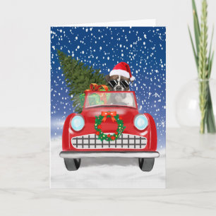 Boxer Dog Driving Car In Snow Christmas Invitation