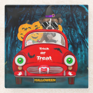 Boxer Dog Driving Car Scary Halloween Glass Coaster