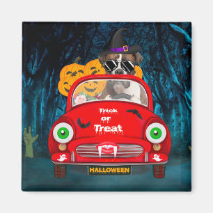 Boxer Dog Driving Car Scary Halloween Magnet