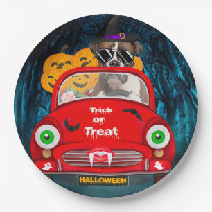 Boxer Dog Driving Car Scary Halloween Paper Plate
