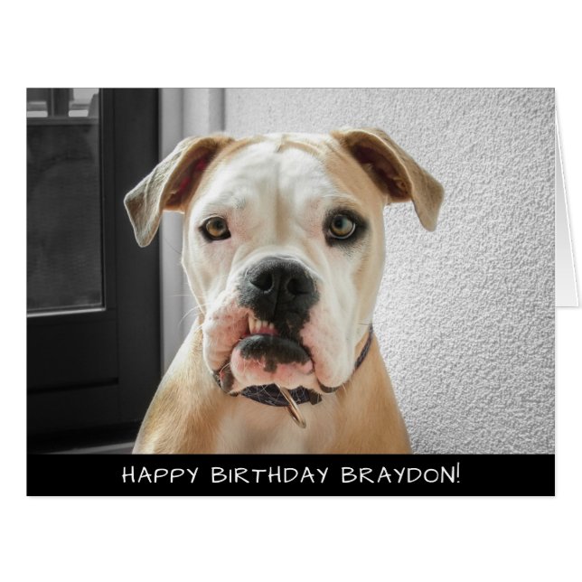 Boxer Dog Extra Large Birthday Card (Front Horizontal)