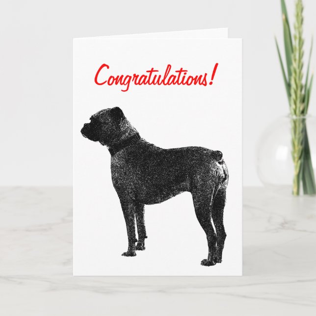Boxer dog greeting card design | Congratulations! (Front)