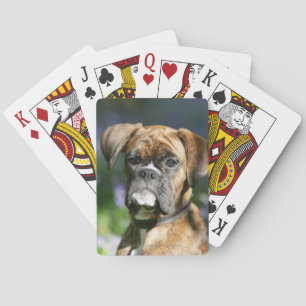 Boxer Dog Headshot Playing Cards