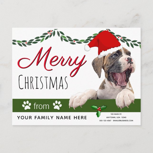 Boxer Dog Holiday Cards- From the Dog Christmas Postcard (Front)