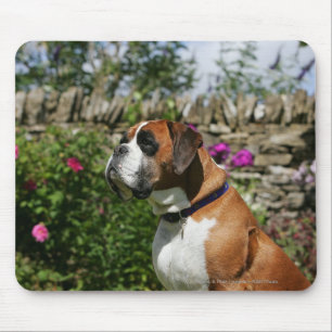 Boxer Dog in the Flowers Mouse Pad