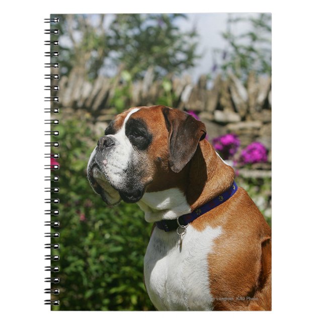 Boxer Dog in the Flowers Notebook (Front)