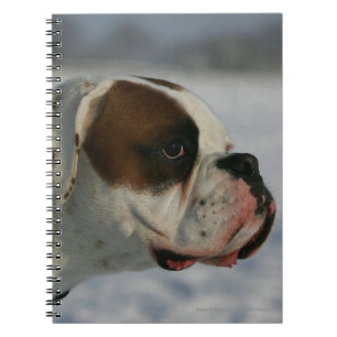 Boxer Dog in the Snow Notebook