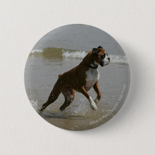 Boxer Dog in Water 6 Cm Round Badge