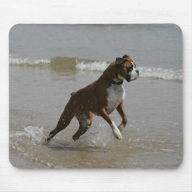 Boxer Dog in Water Mouse Pad (Front)