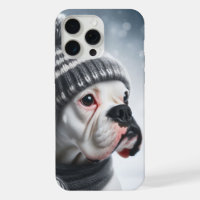 Boxer Dog in Winter