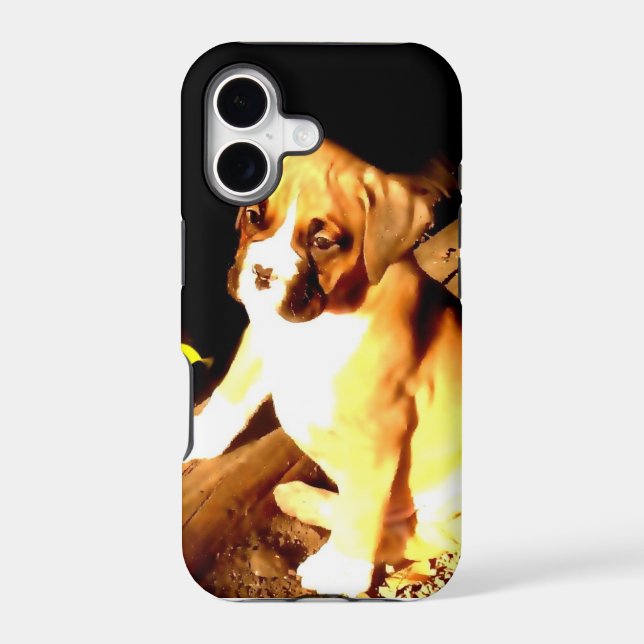 Boxer dog iPhone 5 Barely There Universal Case (Back)