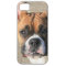 Boxer dog iPhone 5 Barely There Universal Case