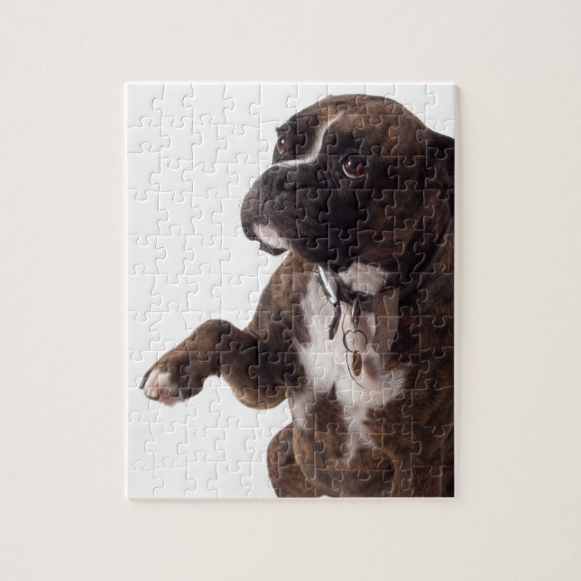boxer dog jigsaw puzzle (Vertical)