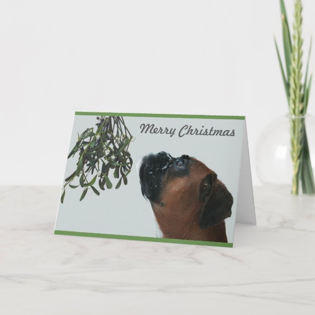 Boxer Dog Jolie with Mistletoe Holiday Card (Front)
