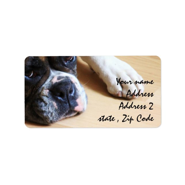 Boxer dog label (Front)