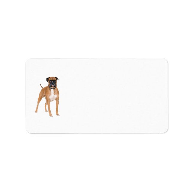 Boxer Dog Labels (Front)