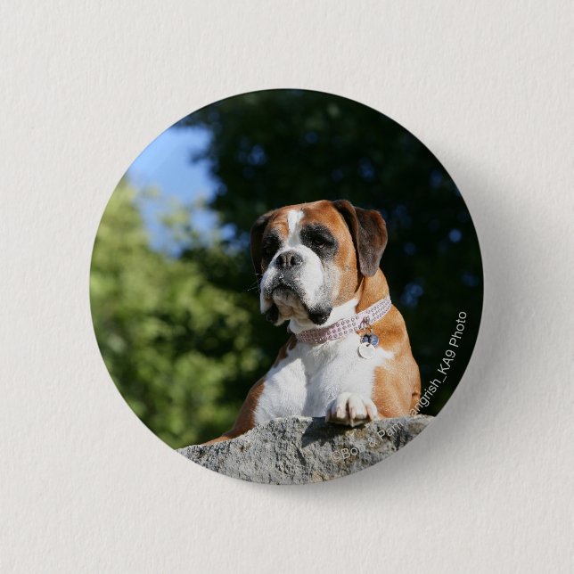 Boxer Dog Laying on a Rock 6 Cm Round Badge (Front)