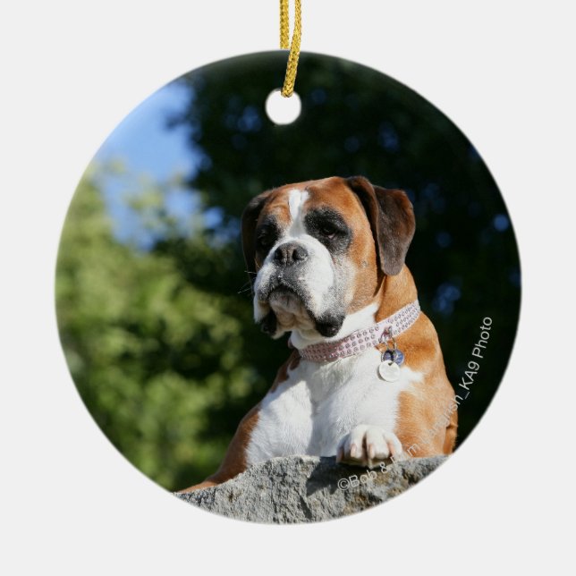 Boxer Dog Laying on a Rock Ceramic Tree Decoration (Front)