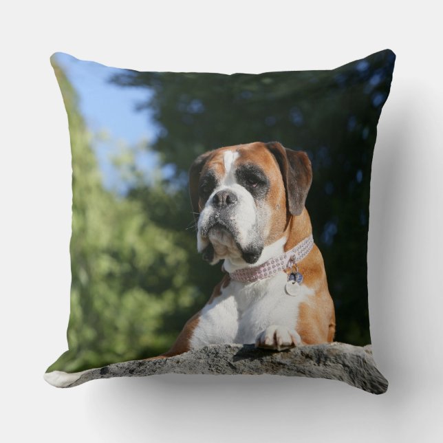 Boxer Dog Laying on a Rock Cushion (Front)