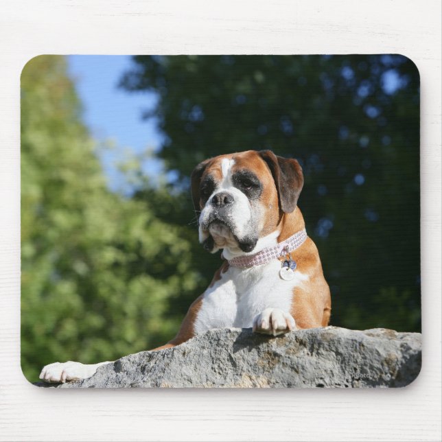 Boxer Dog Laying on a Rock Mouse Pad (Front)
