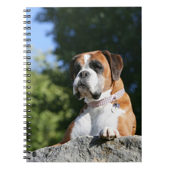 Boxer Dog Laying on a Rock Notebook (Front)